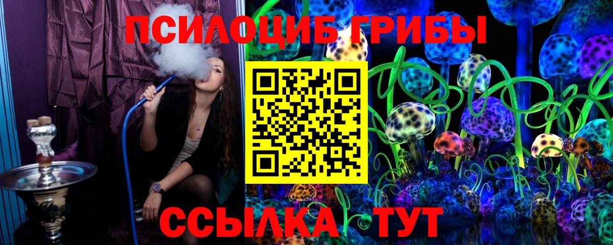 Краснокаменск  Псилоцибиновые грибы MAGIC MUSHROOMS  Вход с VPN  Галлюциногенные грибы Psilocybine cubensis 